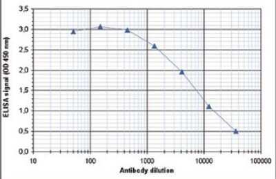 ELISA: Histone H3 [Dimethyl Lys79] Antibody [NBP2-59194]